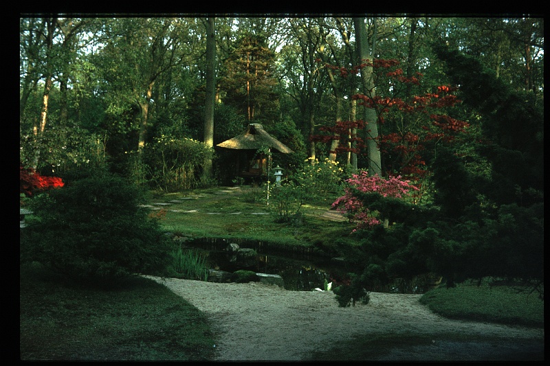 33.JapanseTuin jun 1974.JPG